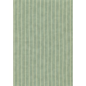 Field Notes (2718-18)