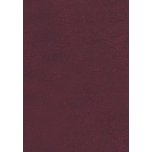 Sued 2 (0015-DR)