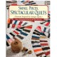 Small Pieces spectacular quilts (B1071)