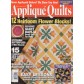 Appliqué Quilts (02632637)