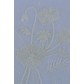 Flower White 