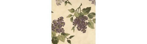 Lilac Hill Lilacs